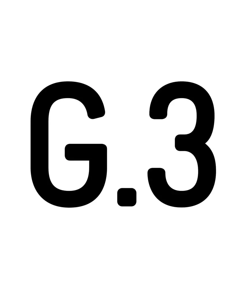 G.3